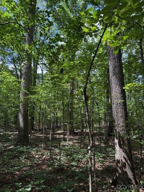 Tiny photo for 00 Maidens Road, Maidens, VA 23102 (MLS # 2519413)