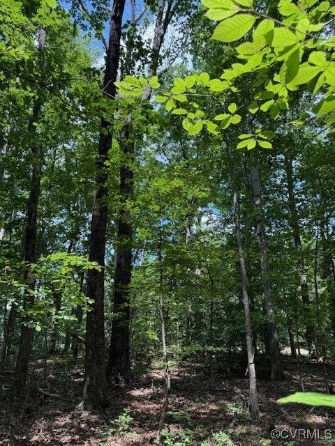Tiny photo for 00 Maidens Road, Maidens, VA 23102 (MLS # 2519413)