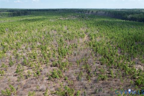 Tiny photo for 601 Edmonds Lane, Blackstone, VA 22824 (MLS # 2607803)