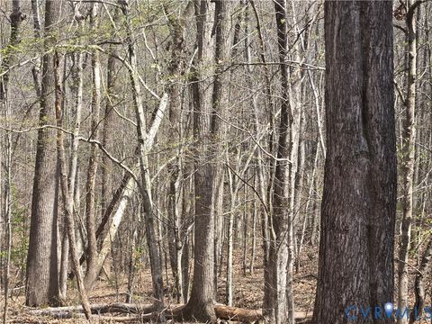 Photo of 0 Equestrian Trail Road, New Canton, VA 23123 (MLS # 2608001)