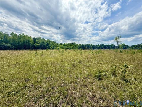 Tiny photo for Lot 25 Whispering Wood Road, Meherrin, VA 23954 (MLS # 2616217)