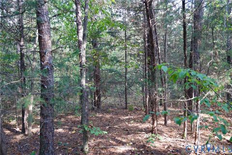 Tiny photo for 0 Quail Roost Road, Meherrin, VA 23954 (MLS # 2525018)