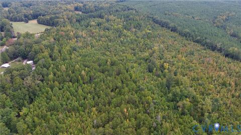 Tiny photo for 0 Quail Roost Road, Meherrin, VA 23954 (MLS # 2525018)