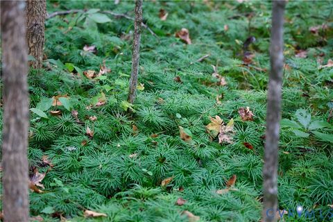 Tiny photo for 0 Quail Roost Road, Meherrin, VA 23954 (MLS # 2525018)