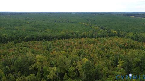 Tiny photo for 0 Quail Roost Road, Meherrin, VA 23954 (MLS # 2525018)