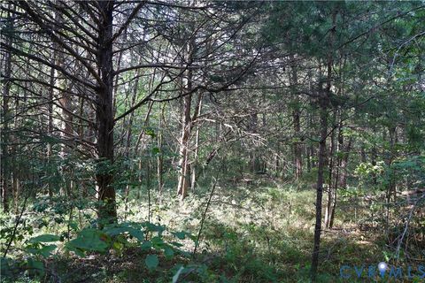 Tiny photo for 0 Quail Roost Road, Meherrin, VA 23954 (MLS # 2525018)