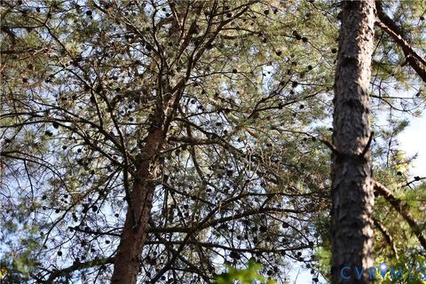 Tiny photo for 0 Quail Roost Road, Meherrin, VA 23954 (MLS # 2525018)