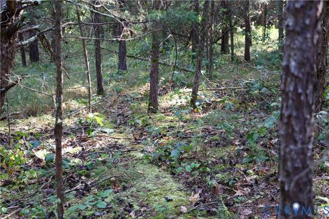 Tiny photo for 0 Quail Roost Road, Meherrin, VA 23954 (MLS # 2525018)