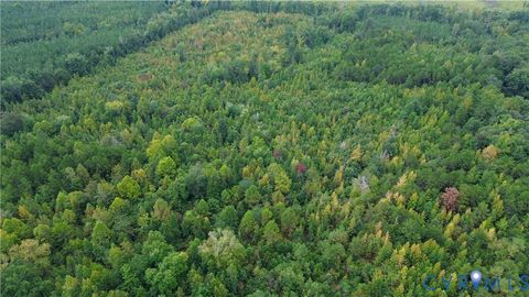 Tiny photo for 0 Quail Roost Road, Meherrin, VA 23954 (MLS # 2525018)