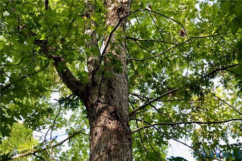 Tiny photo for 0 Quail Roost Road, Meherrin, VA 23954 (MLS # 2525018)