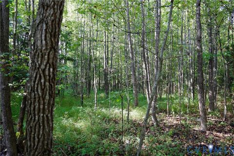 Tiny photo for 0 Quail Roost Road, Meherrin, VA 23954 (MLS # 2525018)