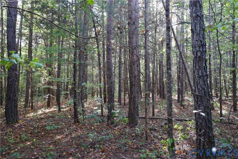 Tiny photo for 0 Quail Roost Road, Meherrin, VA 23954 (MLS # 2525018)