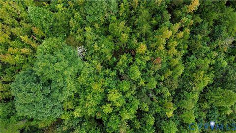 Tiny photo for 0 Quail Roost Road, Meherrin, VA 23954 (MLS # 2525018)