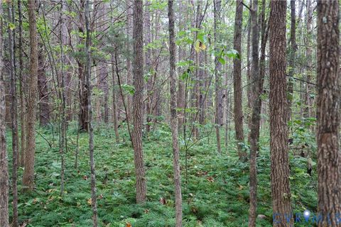 Tiny photo for 0 Quail Roost Road, Meherrin, VA 23954 (MLS # 2525018)