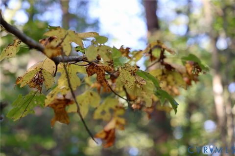 Tiny photo for 0 Quail Roost Road, Meherrin, VA 23954 (MLS # 2525018)