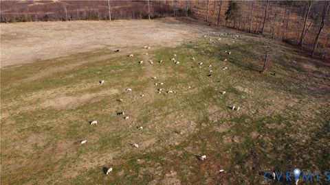 Tiny photo for 23381 Genito Road, Amelia Courthouse, VA 23002 (MLS # 2606180)