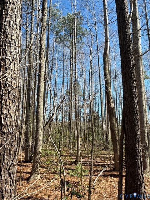 Tiny photo for 0 Pocahontas Trail, New Kent, VA 23141 (MLS # 2611080)
