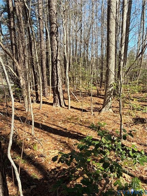 Tiny photo for 0 Pocahontas Trail, New Kent, VA 23141 (MLS # 2611080)