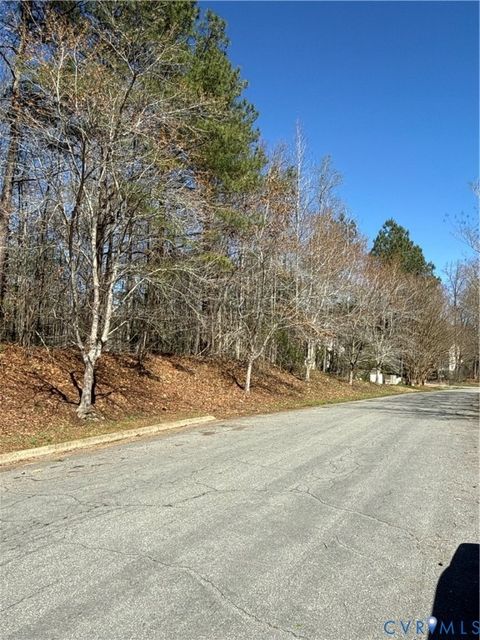 Tiny photo for 0 Pocahontas Trail, New Kent, VA 23141 (MLS # 2611080)