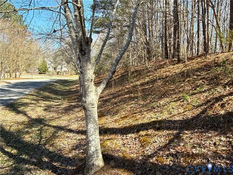Tiny photo for 0 Pocahontas Trail, New Kent, VA 23141 (MLS # 2611080)