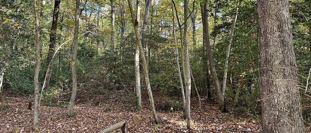 36(1)33 Jessie Dupont Memorial Highway
