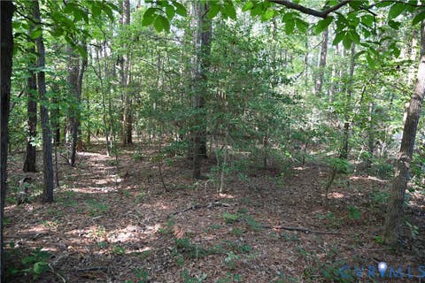 Tiny photo for 0 N/A, Mattaponi, VA 23110 (MLS # 2621767)