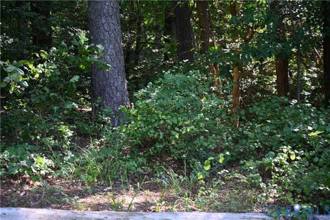 Tiny photo for 0 N/A, Mattaponi, VA 23110 (MLS # 2621767)