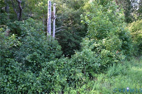 Tiny photo for 0 N/A, Mattaponi, VA 23110 (MLS # 2621767)