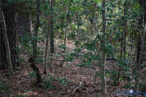 Tiny photo for 0 N/A, Mattaponi, VA 23110 (MLS # 2621767)