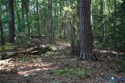 Tiny photo for 0 N/A, Mattaponi, VA 23110 (MLS # 2621767)