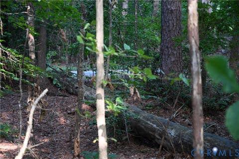 Tiny photo for 0 N/A, Mattaponi, VA 23110 (MLS # 2621767)