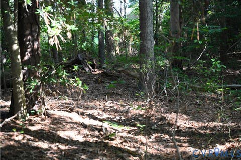 Tiny photo for 0 N/A, Mattaponi, VA 23110 (MLS # 2621767)