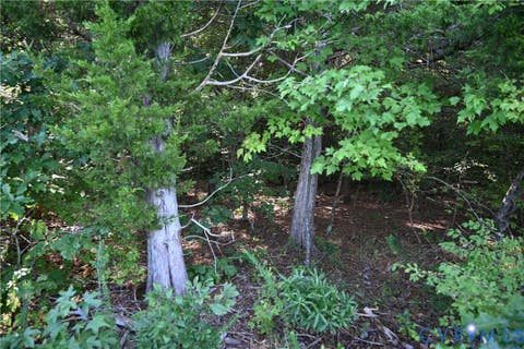 Tiny photo for 0 N/A, Mattaponi, VA 23110 (MLS # 2621767)