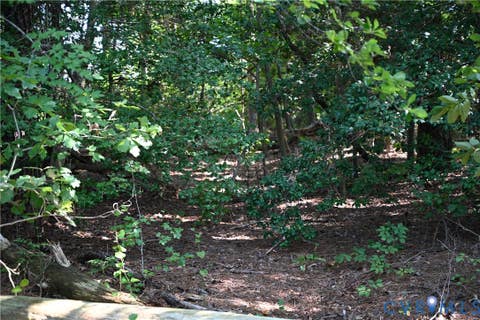 Tiny photo for 0 N/A, Mattaponi, VA 23110 (MLS # 2621767)