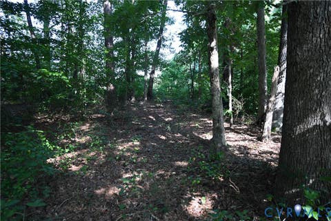 Tiny photo for 0 N/A, Mattaponi, VA 23110 (MLS # 2621767)