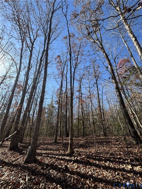 Tiny photo for Lot 4 Diggstown Rd, Bumpass, VA 23024 (MLS # 2626223)