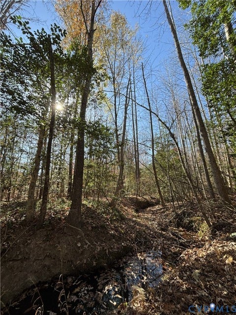Tiny photo for Lot 4 Diggstown Rd, Bumpass, VA 23024 (MLS # 2626223)