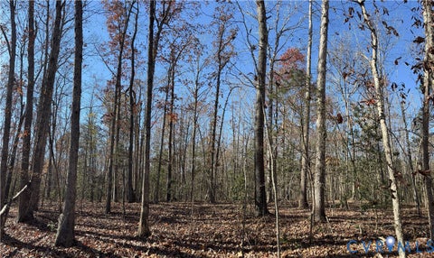 Photo of Lot 4 Diggstown Rd, Bumpass, VA 23024 (MLS # 2626223)