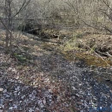 Tiny photo for Lot 1 and 2 Secretarys Sand Road, Schuyler, VA 22969 (MLS # 2531809)