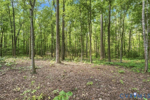 Tiny photo for 15295 Beaver Dam Road, Montpelier, VA 23192 (MLS # 2623839)