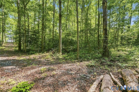 Tiny photo for 15295 Beaver Dam Road, Montpelier, VA 23192 (MLS # 2623839)