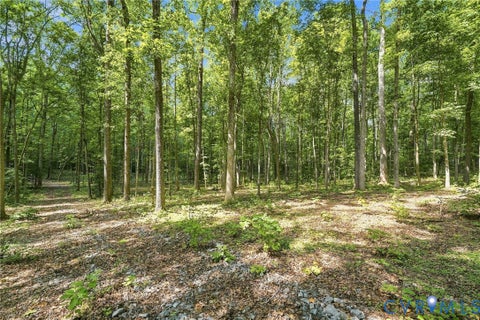 Tiny photo for 15295 Beaver Dam Road, Montpelier, VA 23192 (MLS # 2623839)