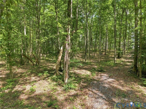 Tiny photo for 15295 Beaver Dam Road, Montpelier, VA 23192 (MLS # 2623839)