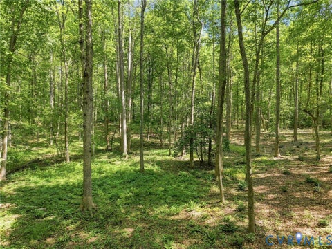 Tiny photo for 15295 Beaver Dam Road, Montpelier, VA 23192 (MLS # 2623839)