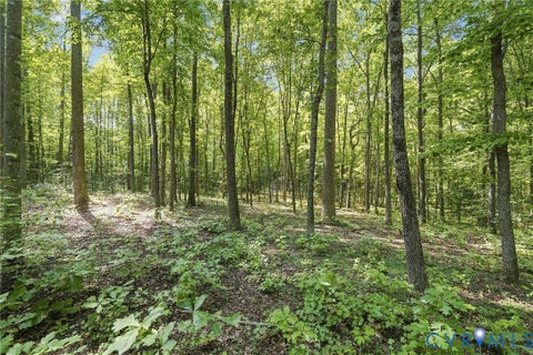 Tiny photo for 15295 Beaver Dam Road, Montpelier, VA 23192 (MLS # 2623839)