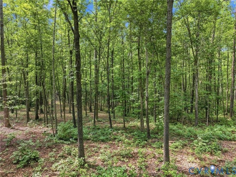 Tiny photo for 15295 Beaver Dam Road, Montpelier, VA 23192 (MLS # 2623839)