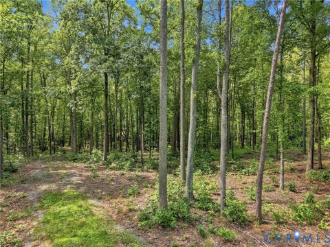 Tiny photo for 15295 Beaver Dam Road, Montpelier, VA 23192 (MLS # 2623839)