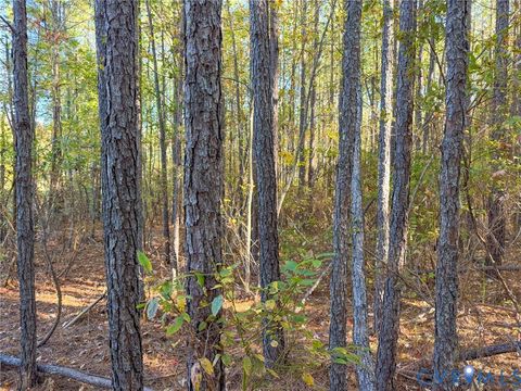 Tiny photo for 0 Richmond Road, Amelia, VA 23002 (MLS # 2606689)