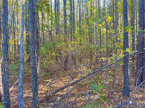 Tiny photo for 0 Richmond Road, Amelia, VA 23002 (MLS # 2606689)