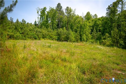 Tiny photo for 0 Chellowe Road, Dillwyn, VA 23936 (MLS # 2617085)